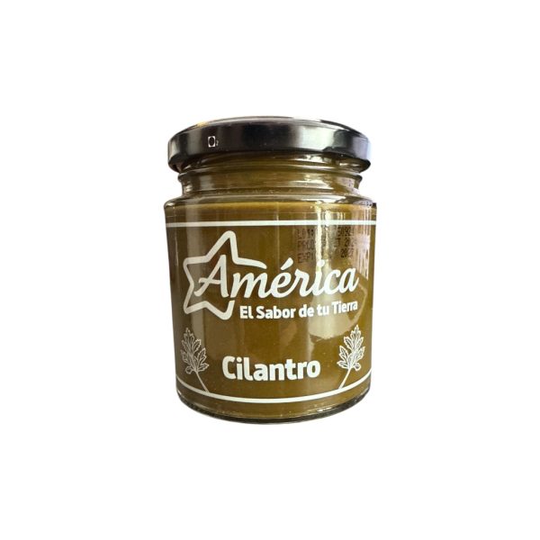 pasta de cilantro